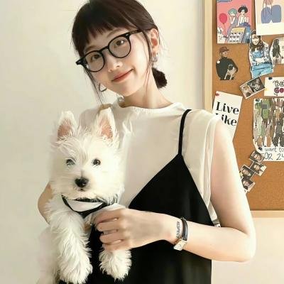 母牛总动员